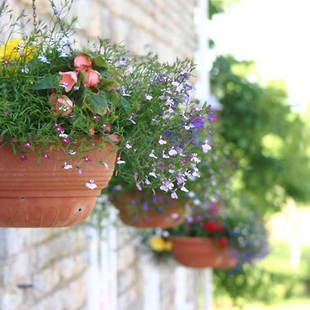 Crossways Hotell Wells Eksteriør bilde Flower pots